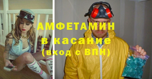 крисы Инта