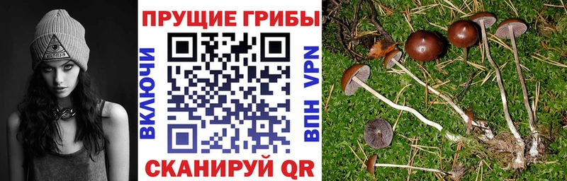 Псилоцибиновые грибы Magic Shrooms  Озёры 